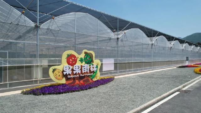 西安高新区乡村振兴发展有限公司建设果蔬温室项目——「西安休闲食品销售」  第5张