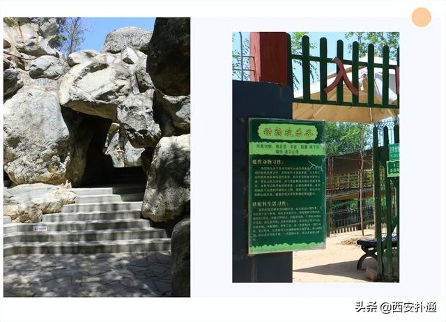 西安旅游攻略：西安旅游攻略「西安小众休闲野餐推荐2、请推荐一些比较小众但是很好听的紫粉白多种颜色」  第6张