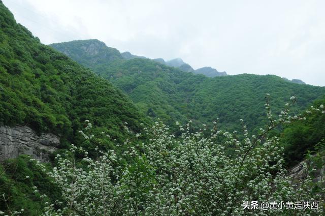 西安旅游攻略之岱峪「西安市蓝田县岱峪内岱峪内岱峪深处可通往另一座蓝田名山——云台山」  第9张