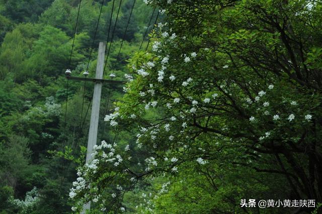 西安旅游攻略之岱峪「西安市蓝田县岱峪内岱峪内岱峪深处可通往另一座蓝田名山——云台山」  第12张