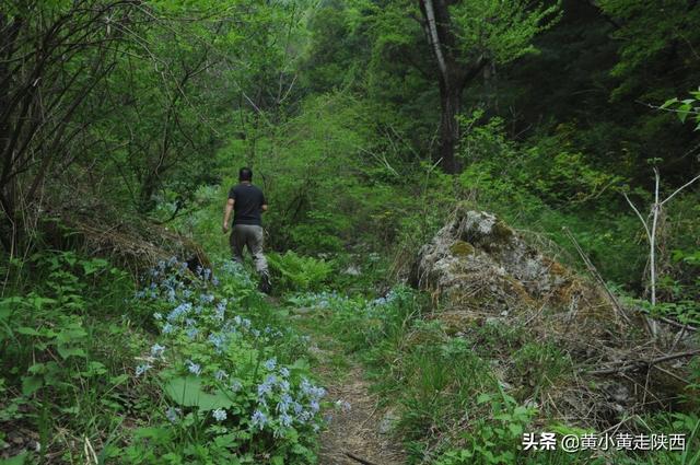 西安旅游攻略之岱峪「西安市蓝田县岱峪内岱峪内岱峪深处可通往另一座蓝田名山——云台山」  第15张