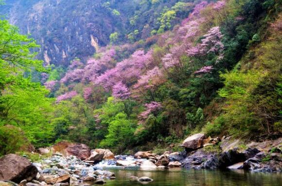 西安两棵树雅居民宿，享小院/尚塬「2019年西安十佳最美民宿/悠居民宿/悠居民宿」  第5张