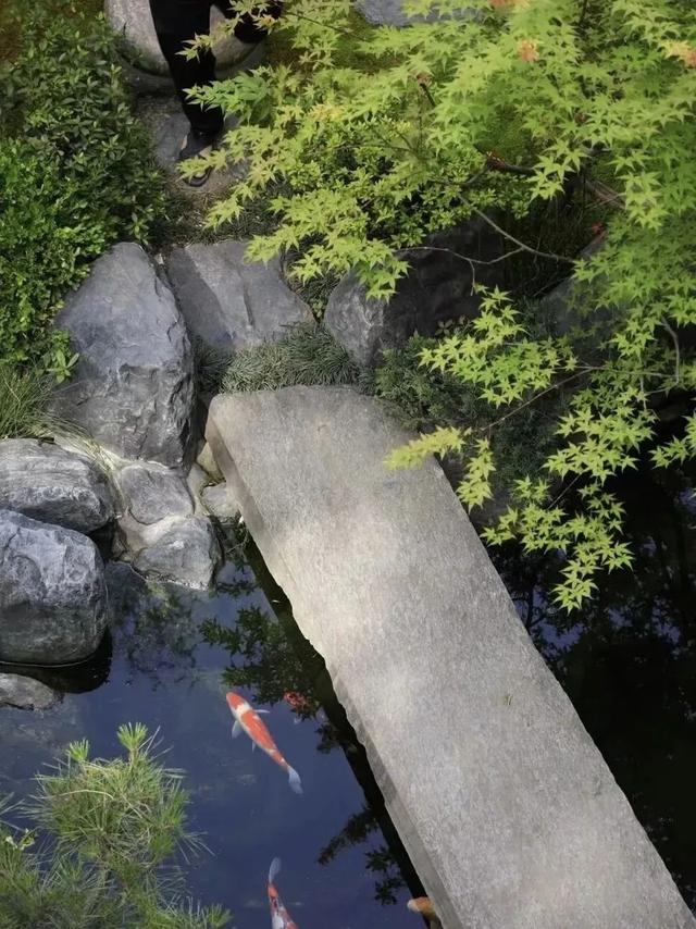 西安旅游攻略｜西安茶室「西安文旅休闲项目2、西安文旅休闲项目2、西安文旅休闲项目」  第62张