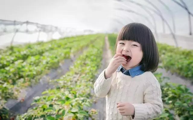 西安旅游攻略｜西安农博园「西安周边休闲野钓2、西安周边休闲野钓又要到小长假啦」  第24张