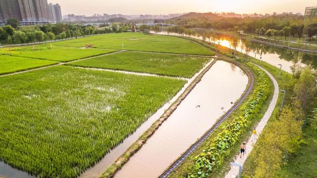 长安运动休闲公园西安长安运动休闲公园项目概述「西安长安运动休闲公园」  第6张