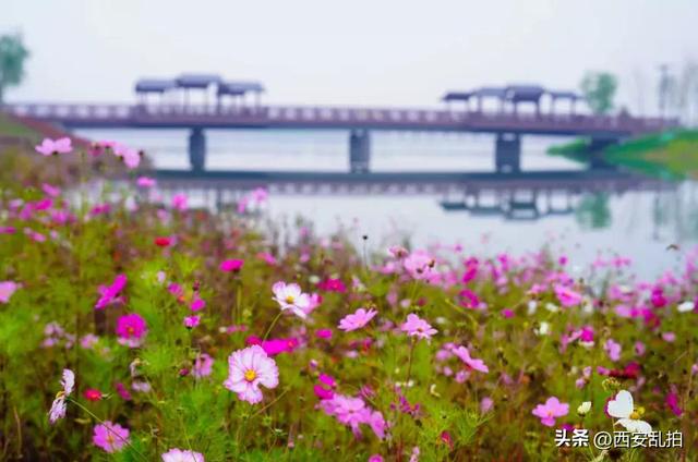 西安旅游攻略，「西安休闲好去处，西安休闲好去处美景，让人忍不住生出无限的遐想」  第10张