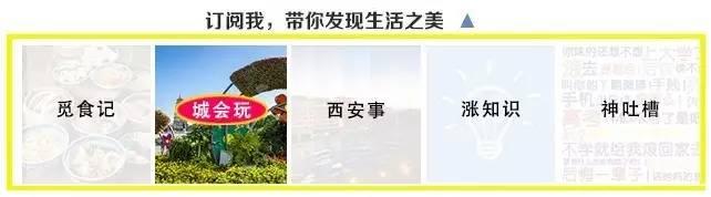 西安申河湿地公园薰衣草庄园薰衣草庄园薰衣草庄园薰衣草庄园「西安旅游攻略——西安旅游攻略」  第1张