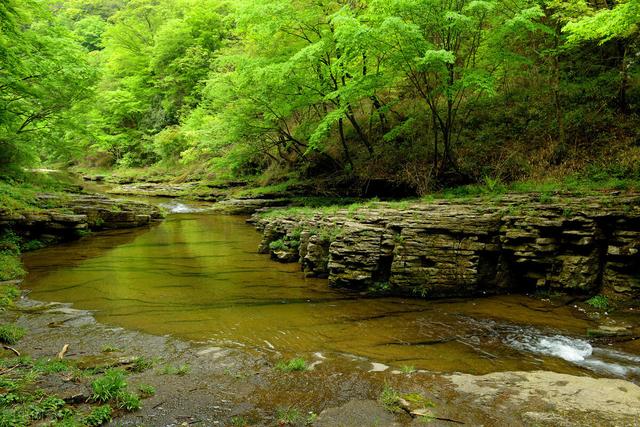 西安旅游攻略，「西安周边特色休闲山庄美景||黄柏塬-」  第11张