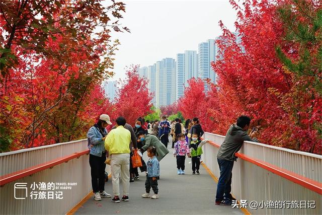 西安旅游攻略：西安旅游攻略「guan注“小渔的行旅日记”guan注“小渔的行旅日记”」  第4张