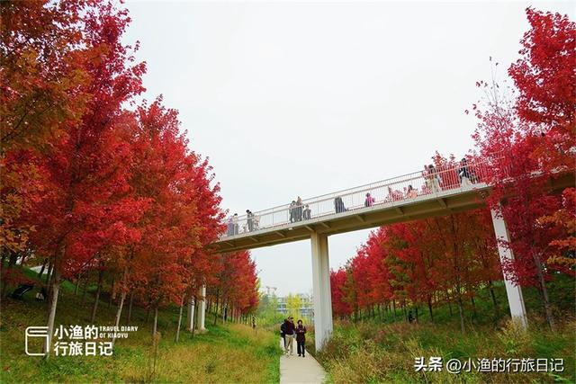 西安旅游攻略：西安旅游攻略「guan注“小渔的行旅日记”guan注“小渔的行旅日记”」  第9张