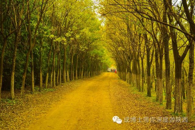 西安 观光「西安休闲景点」  第57张