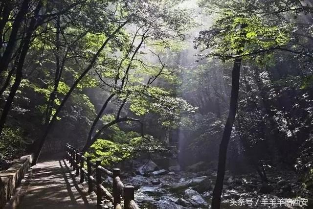 西安休闲踏青的好地方西安休闲踏青的好地方西安的春天已到来「西安休闲踏青好地方」  第10张