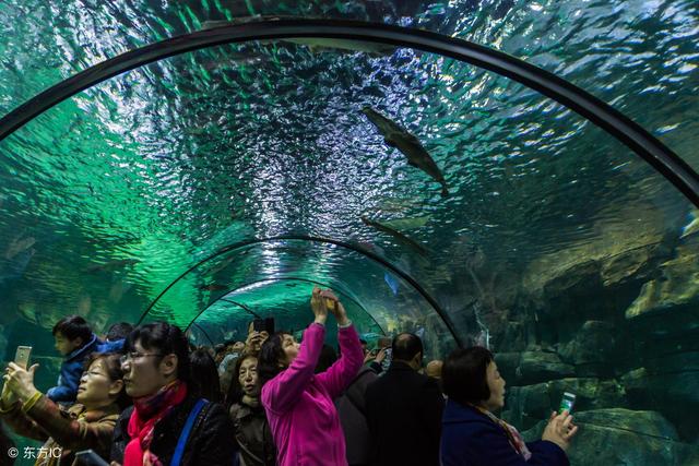 西安雁塔区休闲的地方在哪亲子时光的体验不可逆「西安旅游攻略之海洋极地文化」  第19张