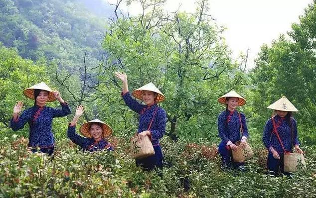 西安周边钓鱼休闲好去处，平利县||地址「安康旅游攻略：安康平利旅游攻略」  第15张