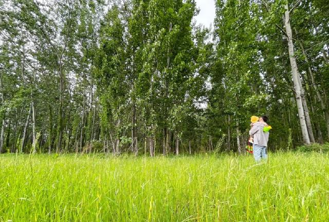 西安周边放松休闲的地方「西安附近哪里有好玩的地方」  第7张