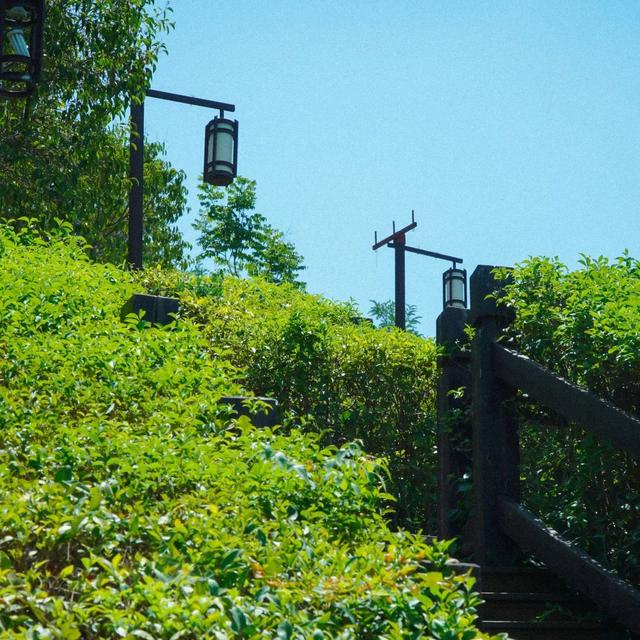 西安文景山公园游玩攻略「西安休闲免费景点：西安文景山公园」文景山公园」  第48张