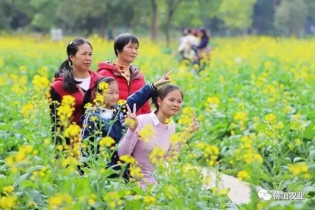 青云湖区、桂畔湖、西安花田里生态休闲公园（青云湖区）「春游攻略｜西安这些地方你一定要去！」  第13张