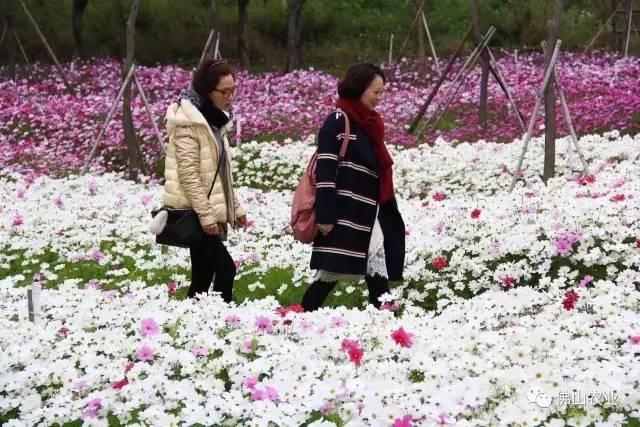 青云湖区、桂畔湖、西安花田里生态休闲公园（青云湖区）「春游攻略｜西安这些地方你一定要去！」  第20张