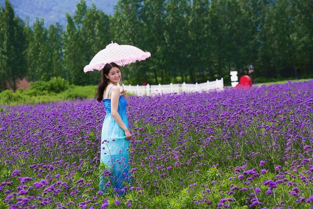 西安花田里生态休闲会所在哪「西安花田里」  第8张