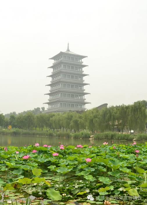 西安著名休闲度假区有哪些雁塔除外，西安旅游景点大全一览表「西安旅游景点大全一览表」  第14张