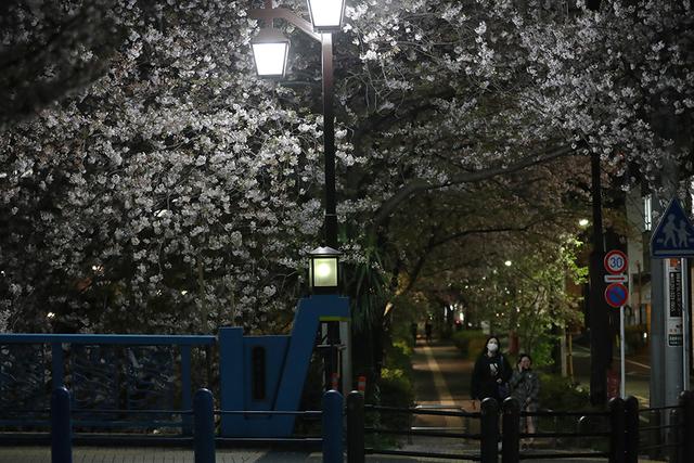 西安桃花源休闲山庄法人代表是谁「深圳桃花源山庄」