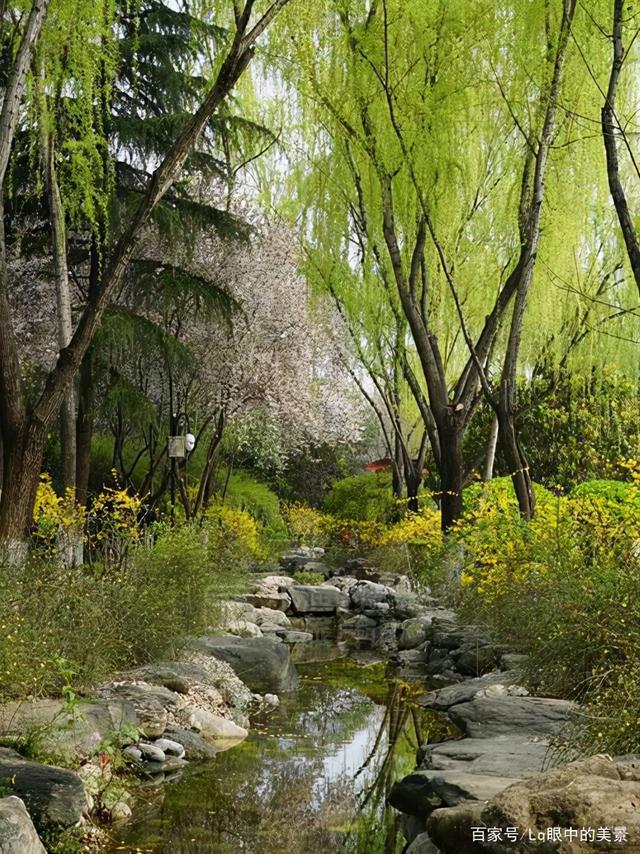 西安白天带父母白天去逛的地方，丰庆公园不收任何费用「西安旅游攻略——丰庆公园」  第2张