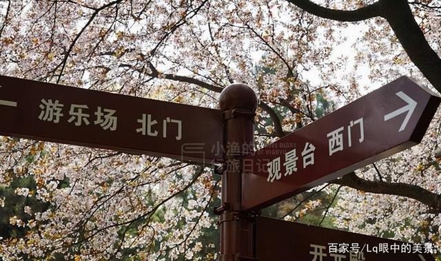 西安白天带父母白天去逛的地方，丰庆公园不收任何费用「西安旅游攻略——丰庆公园」  第3张