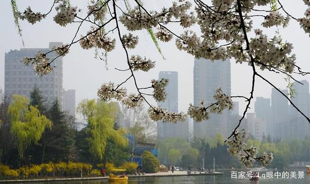 西安白天带父母白天去逛的地方，丰庆公园不收任何费用「西安旅游攻略——丰庆公园」  第6张