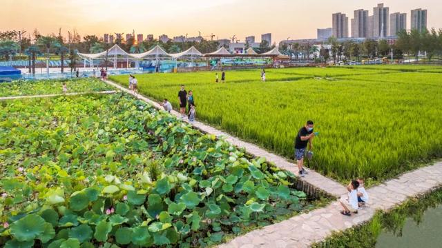 西安市民休闲娱乐场地（收费低也可以）「西安市民休闲娱乐场地」  第4张