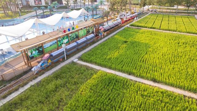 西安市民休闲娱乐场地（收费低也可以）「西安市民休闲娱乐场地」  第22张