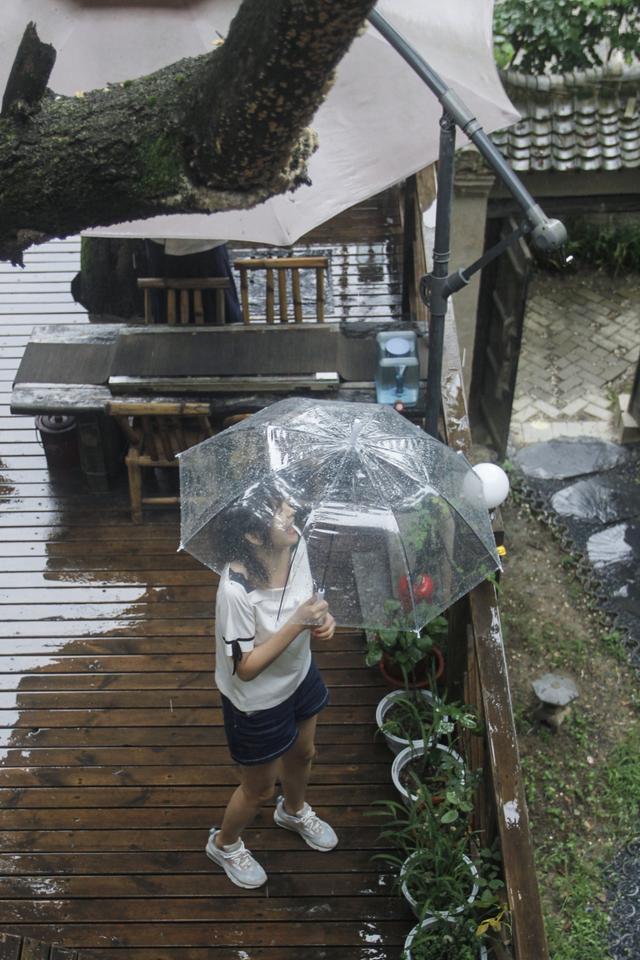 西安旅游攻略之茶宿篇「福鼎白寿眉月光白寿眉月光白芽叶精品私房茶洞庭碧螺春宝塔滇红茶」  第10张