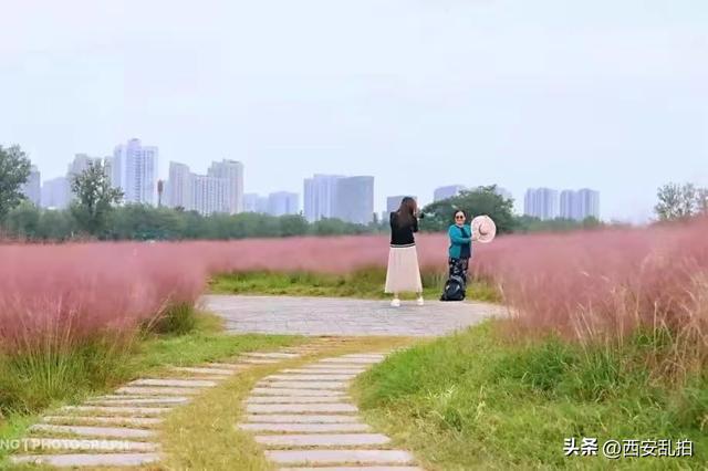 西安生态休闲游园、沣河生态湿地公园、沣河生态湿地公园「沣河生态湿地公园现在开放吗？」  第2张