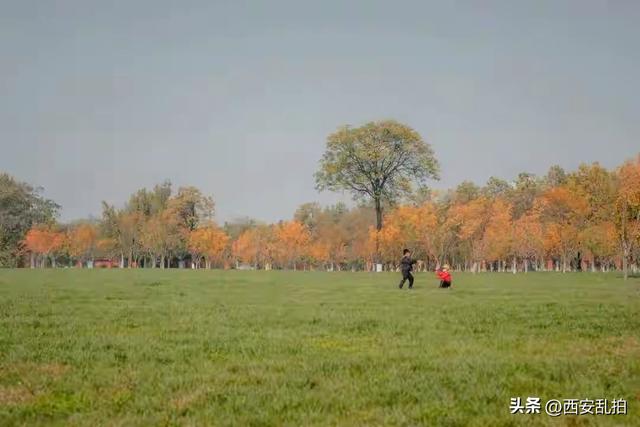 西安生态休闲游园、沣河生态湿地公园、沣河生态湿地公园「沣河生态湿地公园现在开放吗？」  第13张