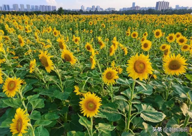 西安周边休闲的山有哪些地方「西安周边山脉」  第3张