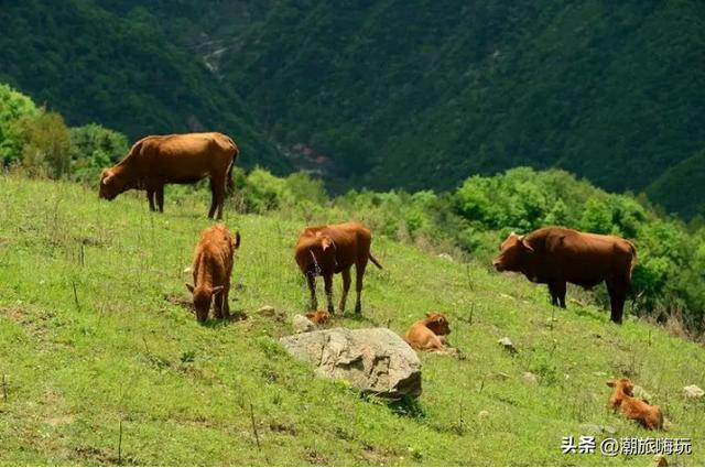 西安周边休闲的山有哪些地方「西安周边山脉」  第7张