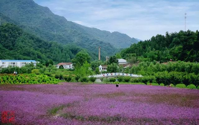 西安旅游攻略：西安旅游攻略「汉中留坝县城关镇老街34号04情人谷」  第2张