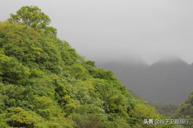 西安山里农家乐环境好休闲2、西安南山度假好去处免门票的「西安南山度假好去处免门票的？」  第3张