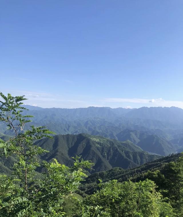 西安旅游攻略：西安旅游攻略「2022春沣河野钓最佳地点：西安哪里能钓鱼」  第3张