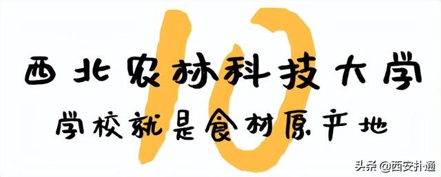 西安高考志愿填报了西交大的食堂，陕师大食堂的价格排行「西安大学的食堂有多好？」  第61张