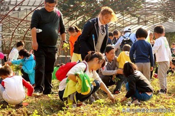 西安生态休闲游乐场在哪里「西安的游乐场有哪些游乐项目」  第28张