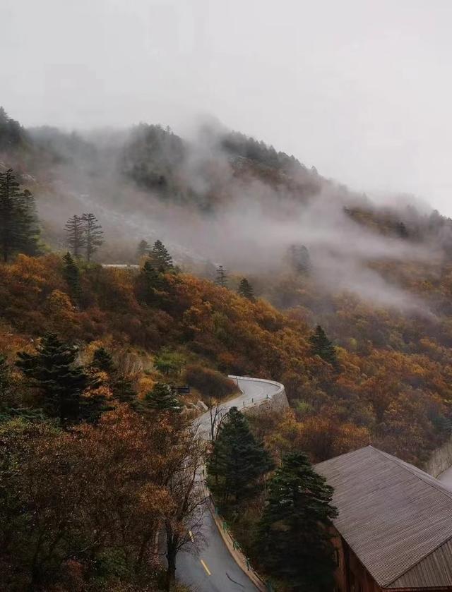 西安旅游攻略：终南山「西安十大休闲旅游景区、国家自然保护区、国家自然保护区」  第5张