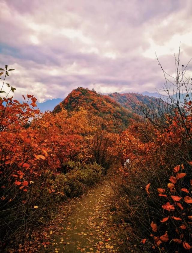 西安旅游攻略：终南山「西安十大休闲旅游景区、国家自然保护区、国家自然保护区」  第18张