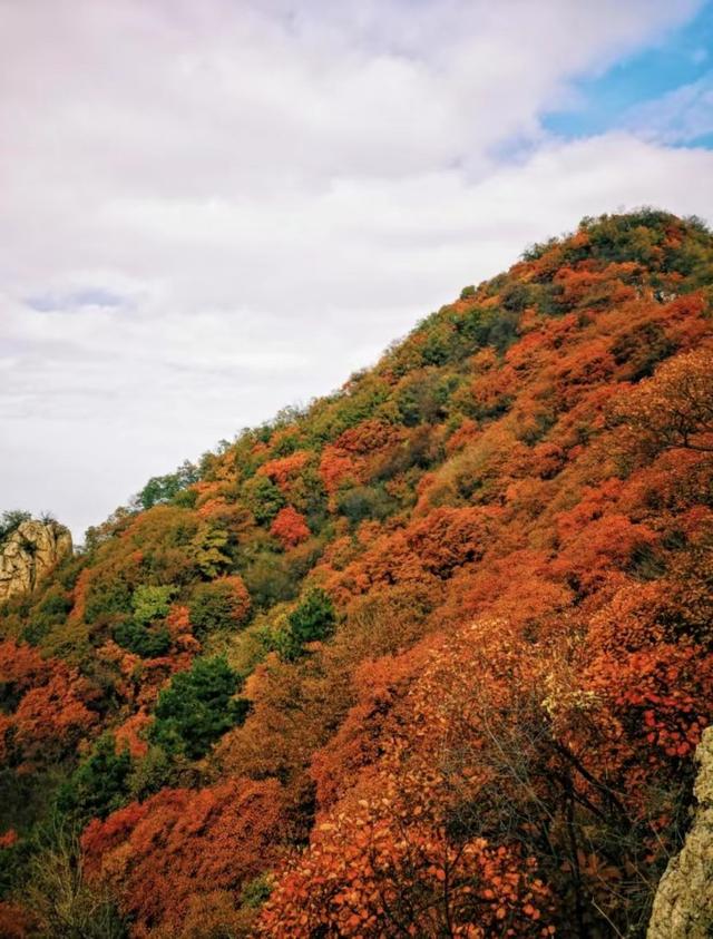 西安旅游攻略：终南山「西安十大休闲旅游景区、国家自然保护区、国家自然保护区」  第17张