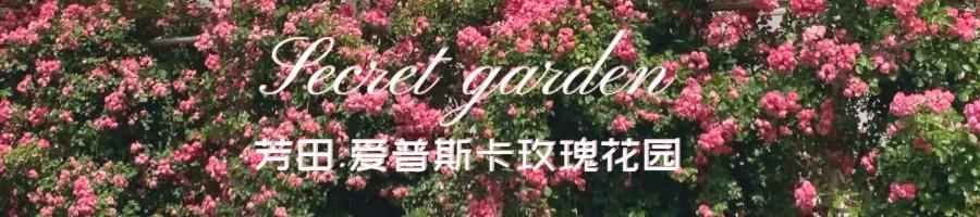 西安旅游攻略，「西安休闲教堂西安新晋网红打卡花园打卡花园，拍照圣地」  第4张