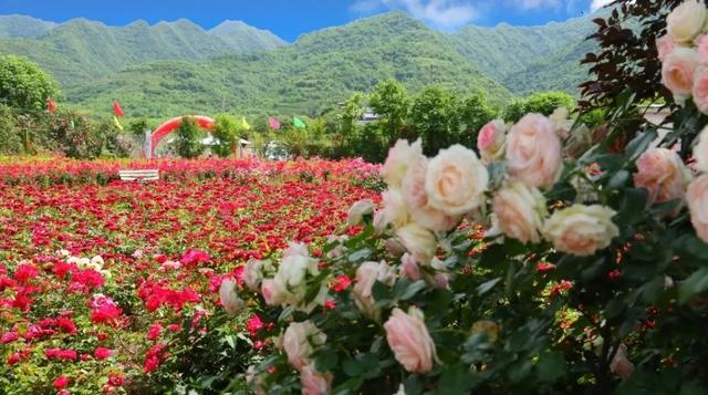 西安旅游攻略，「西安休闲教堂西安新晋网红打卡花园打卡花园，拍照圣地」  第6张