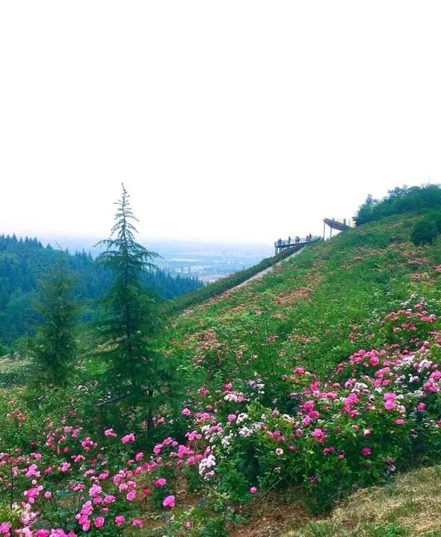 西安旅游攻略，「西安休闲教堂西安新晋网红打卡花园打卡花园，拍照圣地」  第18张