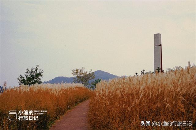 西安休闲旅游这是小渔的行旅日记，走走停停，和我一起看陕西「西安休闲旅游——照金镇」  第6张