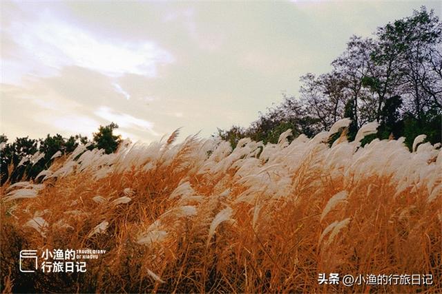 西安休闲旅游这是小渔的行旅日记，走走停停，和我一起看陕西「西安休闲旅游——照金镇」  第1张