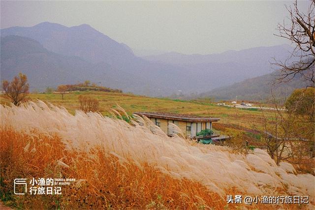 西安休闲旅游这是小渔的行旅日记，走走停停，和我一起看陕西「西安休闲旅游——照金镇」  第9张