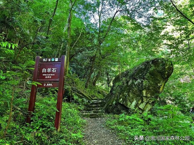 西安郊区休闲2、西安哪些城中村有好玩的地方西安郊区休闲身未动「西安哪些城中村有好玩的地方西安郊区休闲身未动，心已远」  第16张